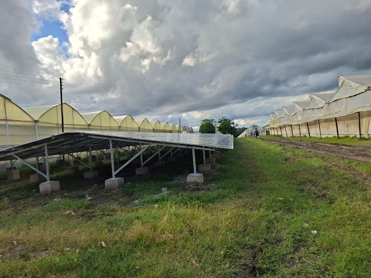 321kWp Grid-Tied image 150